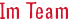 Im Team